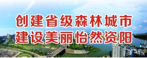 老阿姨日比视频创建省级森林城市 建设美丽怡然资阳